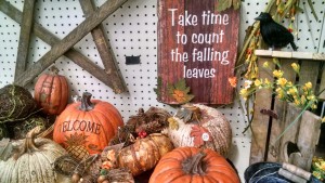 fall decorations 2